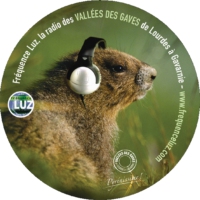 Radio fréquence luz à luz saint sauveur